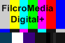 Executive Search firms that specialize in recruiting traffic executives in cable tv networks across all media platforms Tony Filson Filcro Media Staffing