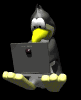 penguin_type_laptop_md_blk04